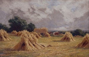 A Cornfield at Harlow, Essex