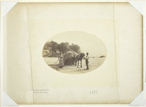 On the Slopes of Cader-Idris, The Last Load of Hay by Henry Peach Robinson