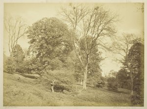 Rook Shooting by Henry Peach Robinson