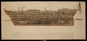Section of a First Class, First-Rate Line of Battle Ship of 131 Guns, with Screw Propeller & Auxiliary Steam Power Royal Albert by Henry Pickering