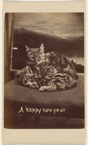 A Happy New Year