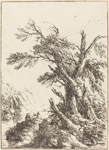 Landscape with Old Trees by Water by Henry Richard Greville, 3rd earl of Warwick