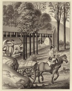 Shooting at the Butt, 1496 by Henry Shaw