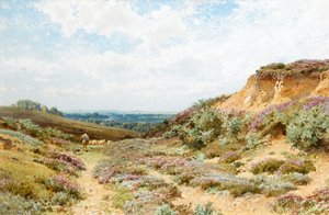 Heather on a Surrey Heath by Henry Sutton Palmer