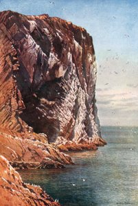 The Bass Rock, Firth of Forth, off Coast of Haddingtonshire