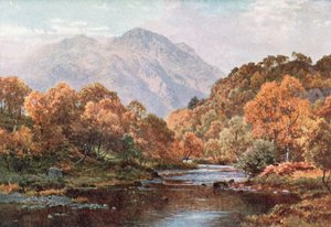 Veiled Sunshine, the Trossachs, Perthshire