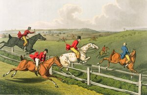 Fox Hunting