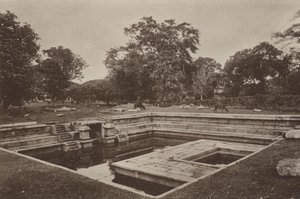 Ruined Cities of Ceylon: Pokuna