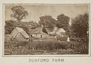 Duxford Farm by Henry W. Taunt