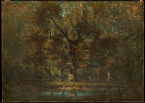 Oak Tree