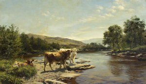 A Placid Morning on the Wye