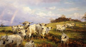 Wild Cattle of Chartley, Chartley Castle Beyond