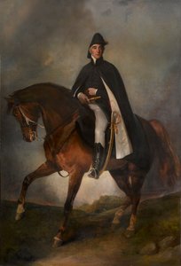 1st Duke of Wellington on Copenhagen