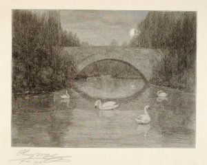 Evening, Swan Lake, Central Park, New York