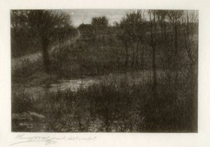 The Evening Star (Motif Found in the Catskills) by Henry Wolf