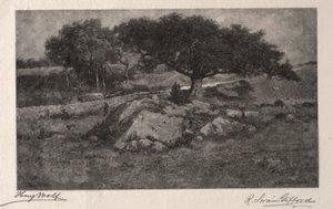 The Roadside