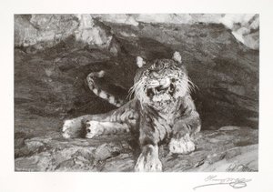 Tiger by Henry Wolf