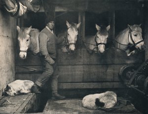 Captain Oates on the Terra Nova with the Siberian Ponies