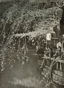 Cherry-Blossom Time in Japan, 1910