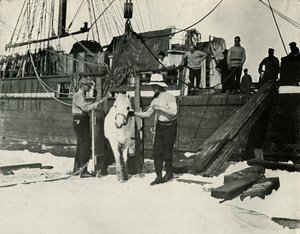 Disembarking the Ponies