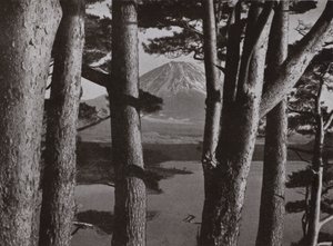 Fuji Through the Pine Trees by Herbert Ponting