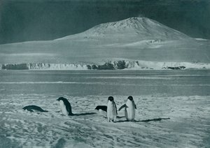 Mount Erebus