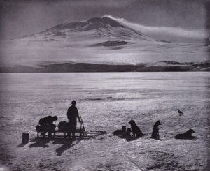 Sledge and dogs, with Mount Erebus in background by Herbert Ponting
