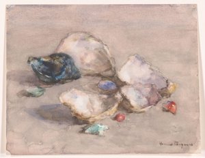 Shells on the Beach by Herman Bogman (signed by artist)