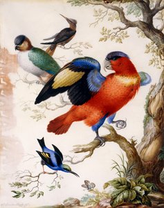 Four Birds in Wood