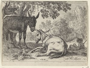Donkeys (Landscapes with Animals series)