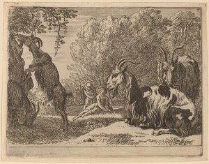 Goats by Herman van Swanevelt