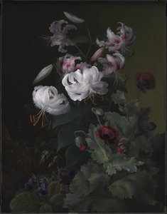 Flowering Plants