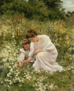 Picking Daisies