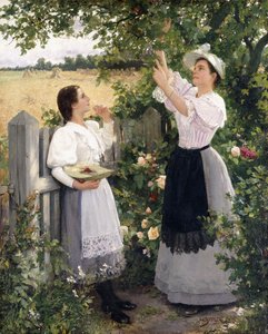 The Cherry Pickers