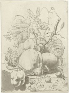 Fruits and a Branch with a Butterfly by Hermanus Fock