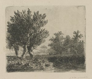Three Pollard Willows by a Waterside