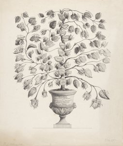 Family Tree of the House of Orange-Nassau by Hermanus Johannes Abbring