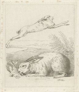 Hare and Rabbit by Hermanus Numan