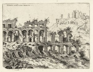 View of the Colosseum and the Palatine
