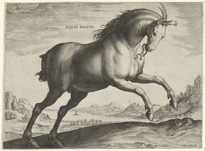 Horse of the Equus Regius Breed