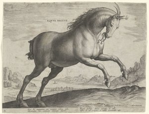 Horse of the Equus Regius Breed