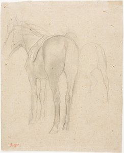 Studies of a Horse