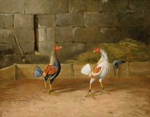 The Challenge by Hilton L. Jnr. Pratt