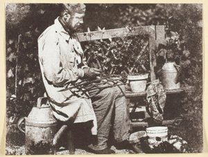 Bayard Gardener