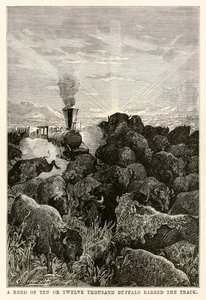 A herd of ten or twelve thousand buffalo barred the track, from Around the World in Eighty Days by Jules Verne by Hippolyte Leon Benett