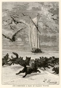 And sometimes a pack of prairie wolves, from Around the World in Eighty Days by Jules Verne, engraved by Louis, 1873 by Hippolyte Leon after Benett