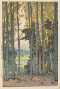 Bamboo Wood