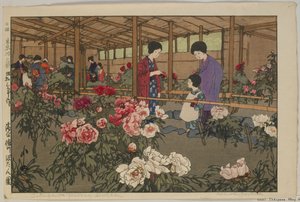 Tokugawa Peony Garden, from the series, Twelve Scenes of Tokyo, Showa era