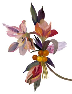 An imaginary flower based on a tulip by Hiroyuki Izutsu