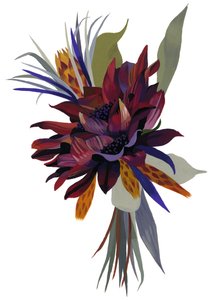 Wild Dahlia